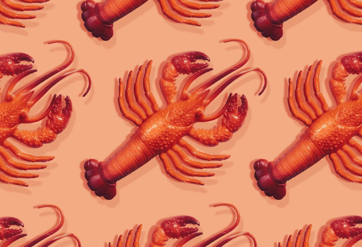 从Clawdbot到Moltbot：一只“龙虾”AI助手如何引爆市场，背后隐藏哪些安全风险？