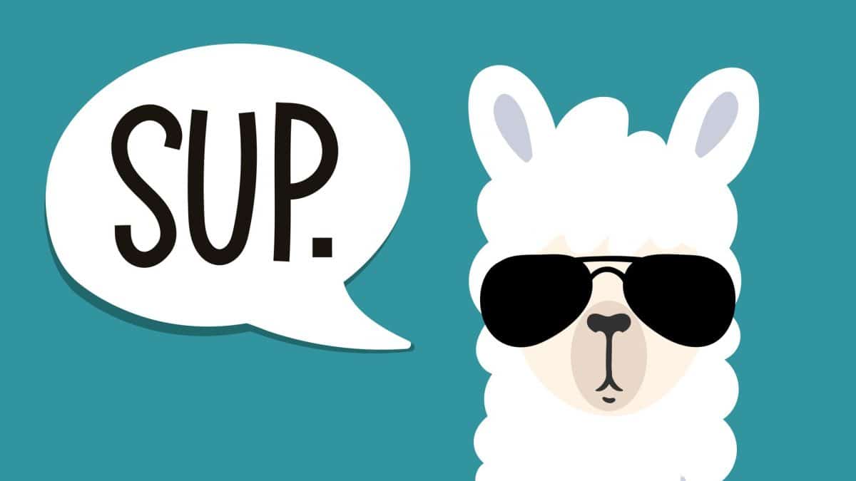 Meta Llama：关于开源生成式AI模型您需要了解的一切