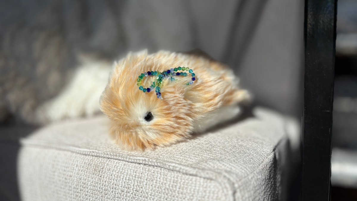 我与售价430美元的AI宠物Casio Moflin共同生活了一个月。