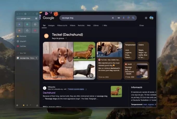 随着浏览器竞争日趋白热化，2025年这些Chrome与Safari替代品最受瞩目 | TechCrunch