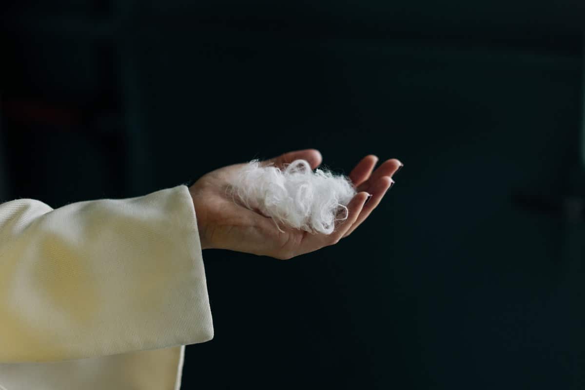 AI材料科学新突破：鸡毛变羊绒，生物基纤维如何颠覆千亿时尚产业？