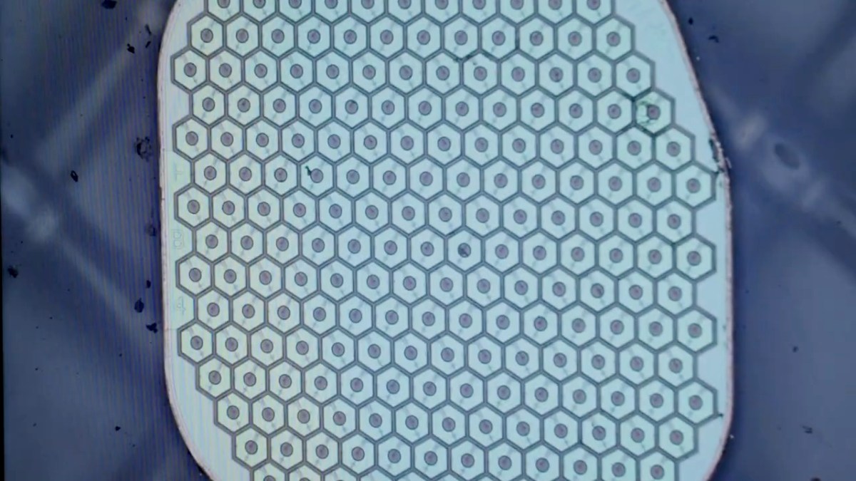 脑机接口新突破：Science Corp. 生物混合传感器即将启动首次人体植入试验